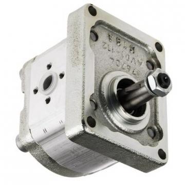Vane Pump Assembly R900929402 Rexroth P2V/06-10A0+G2/004RE01+20E4 *New*